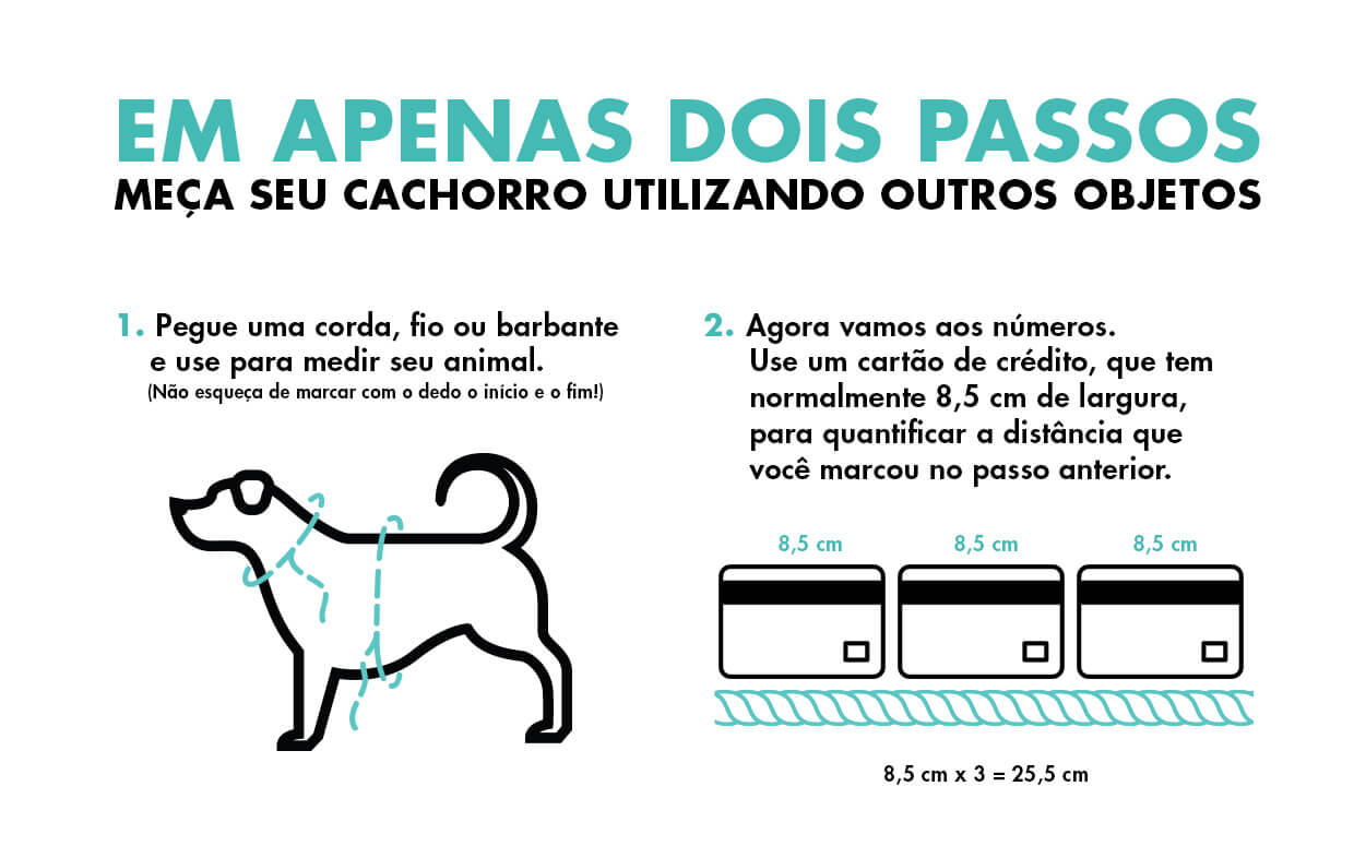 medidas alternativas cachorro