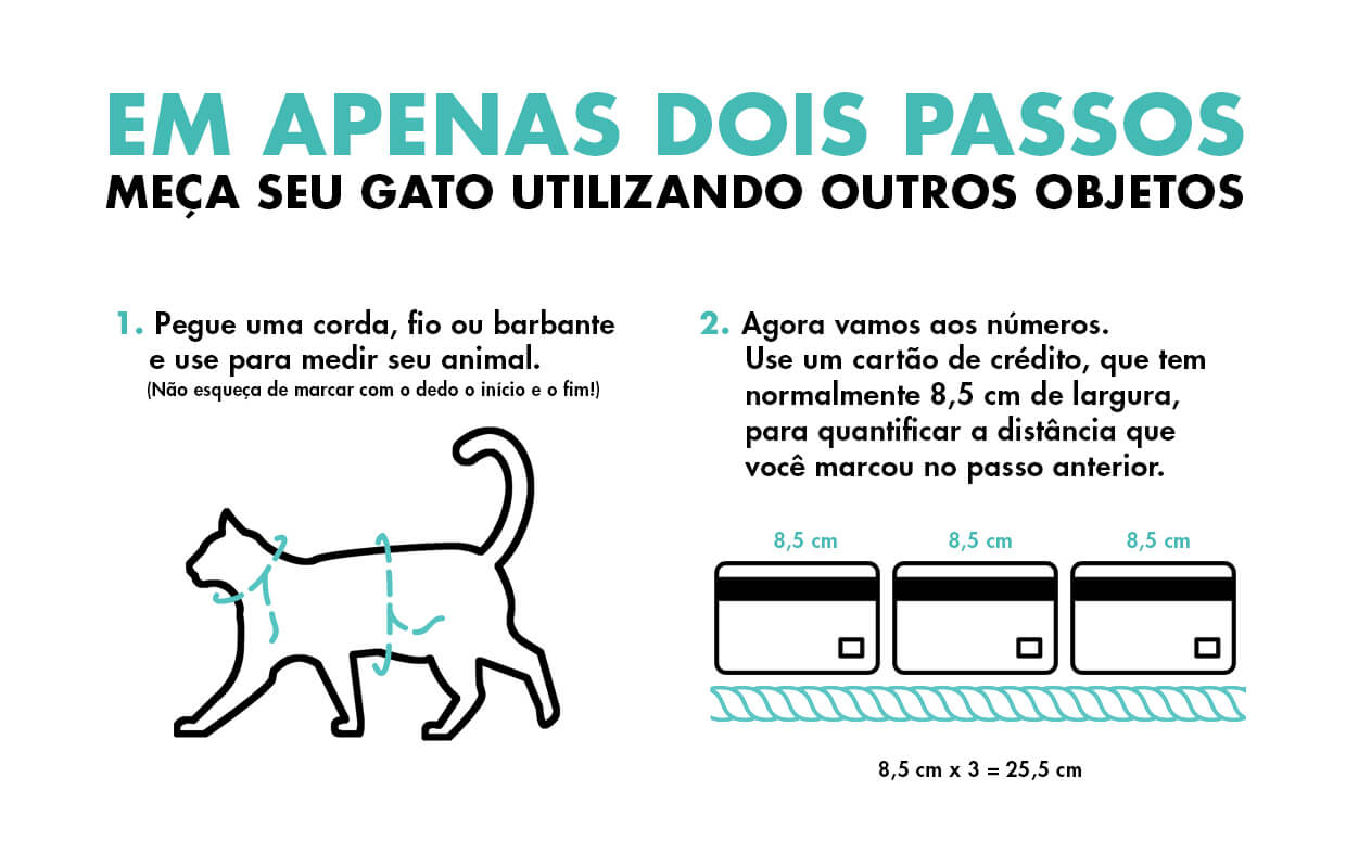 medidas alternativas gato