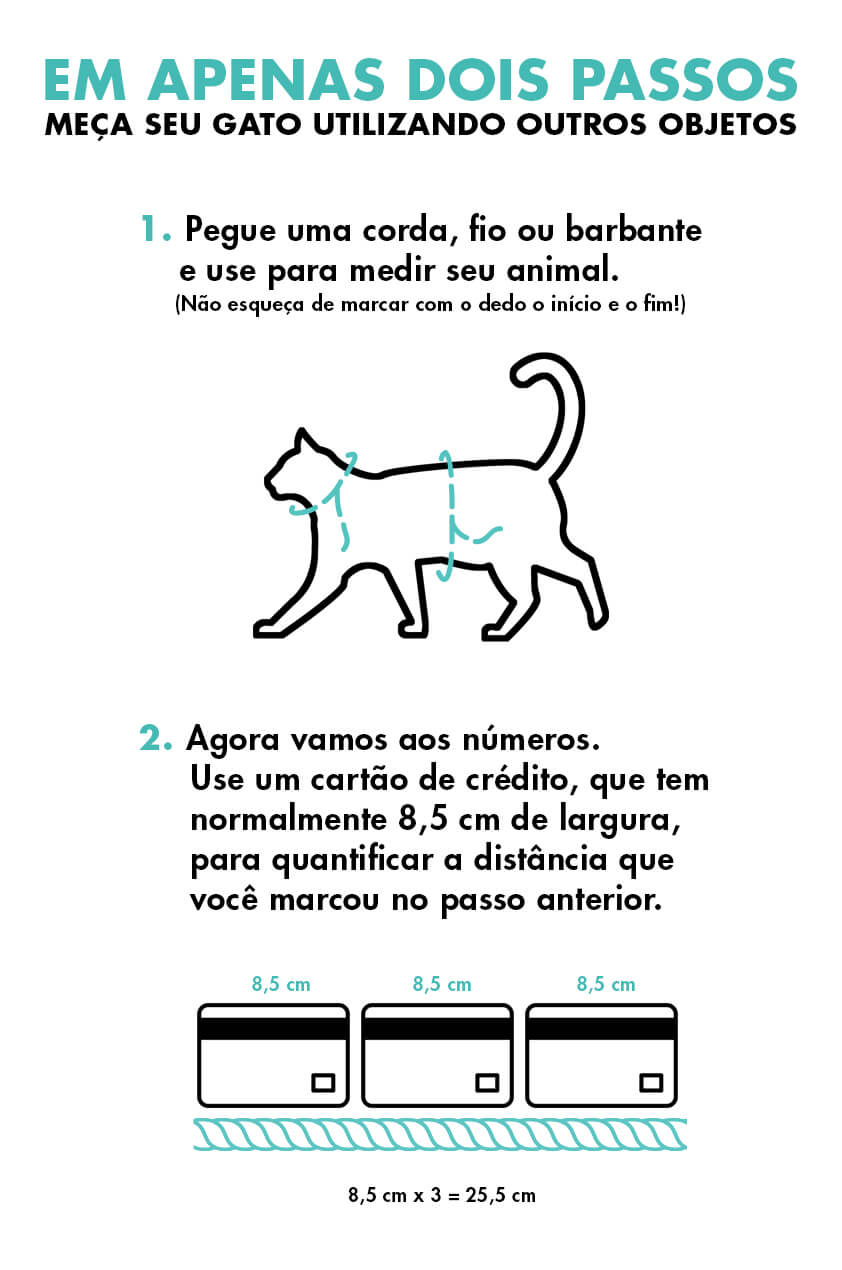 medidas alternativas gato