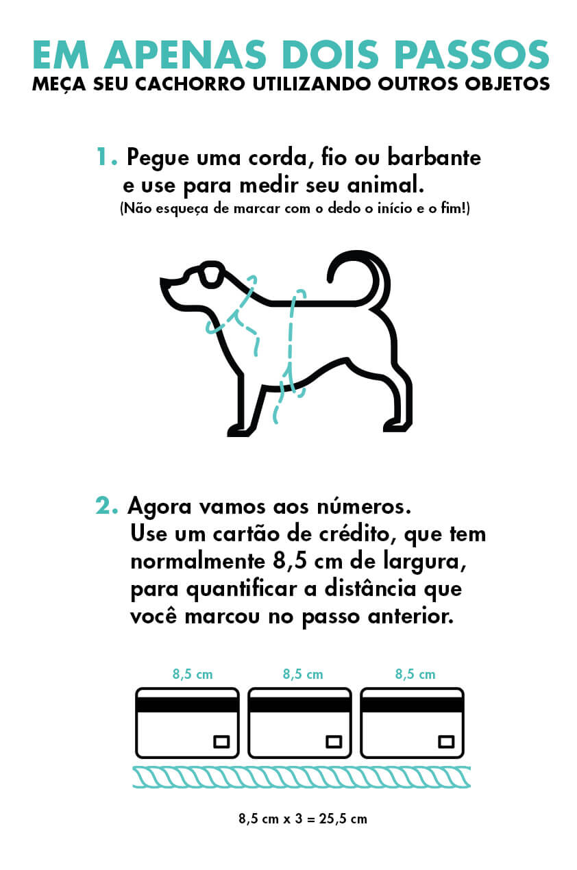 medidas alternativas cachorro
