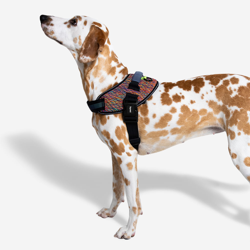 Peitoral para Cachorros FlyHarness Vortex