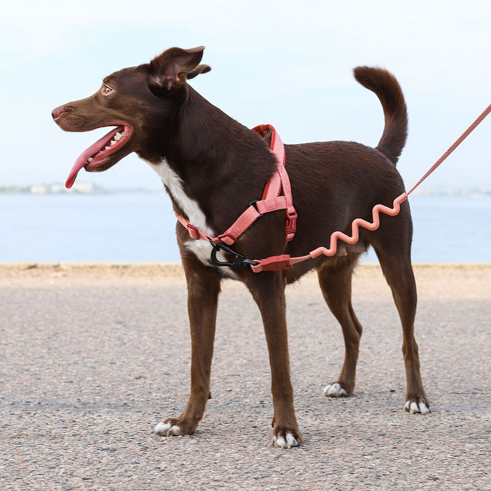 Peitoral Antipuxão SofterWalk para cachorros Naturals Canyon  | Zee.Dog