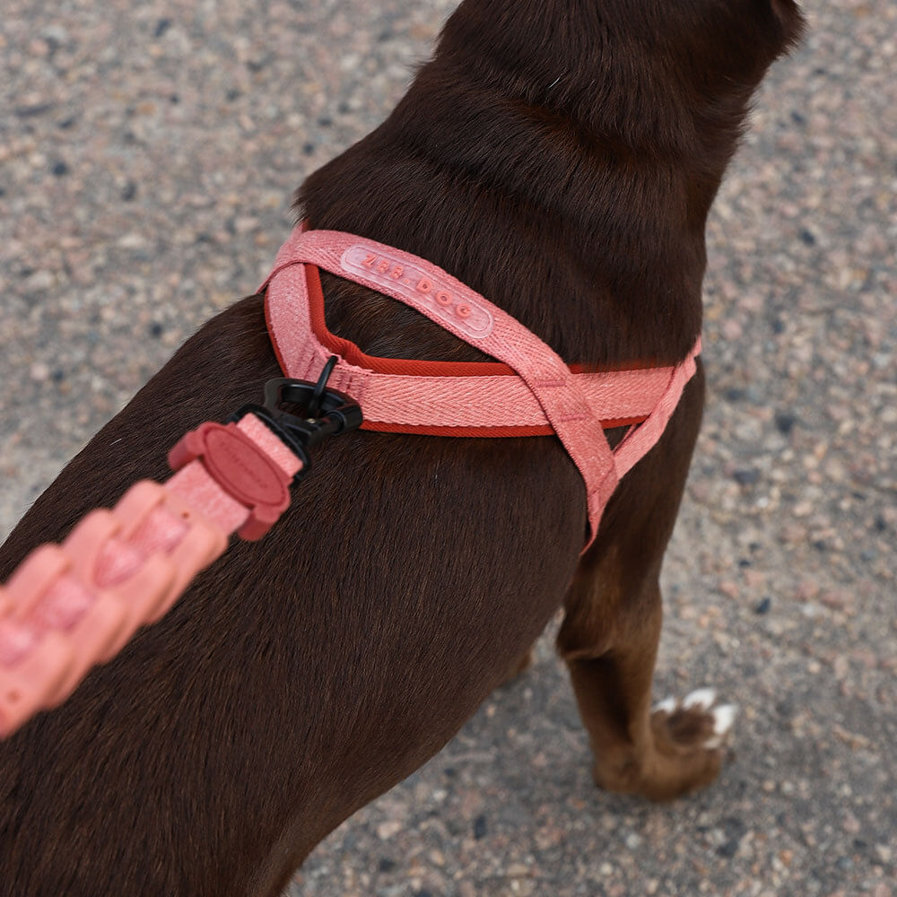 Peitoral Antipuxão SofterWalk para cachorros Naturals Canyon  | Zee.Dog