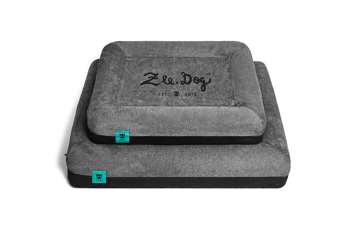 Zee.Dog Zee.Dog