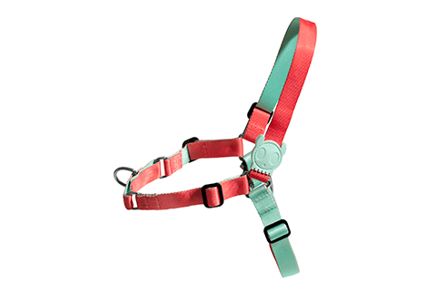 peitoral-para-cachorros-soft-walk-marrakesh-zahara-zeedog-cachorro-pet-active