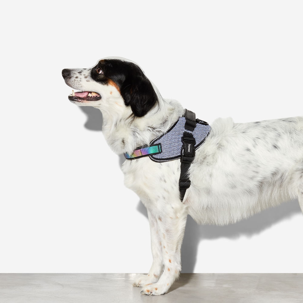 fly-harness-para-cachorros-urban-zeedog-cachorro-pet-hover