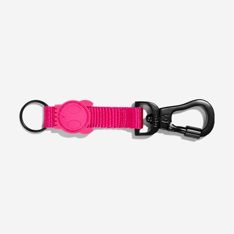 chaveiro-pink-led-zeedog-active