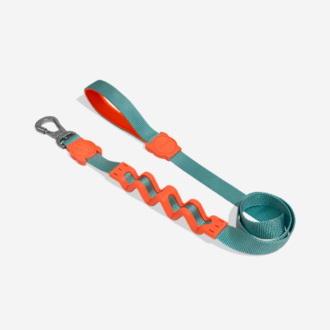 guia-com-amortecedor-para-cachorros-ruff-twist-zeedog-pet-active