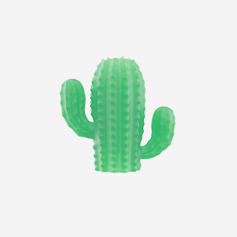 pinz-cactus-zeedog-pet-active
