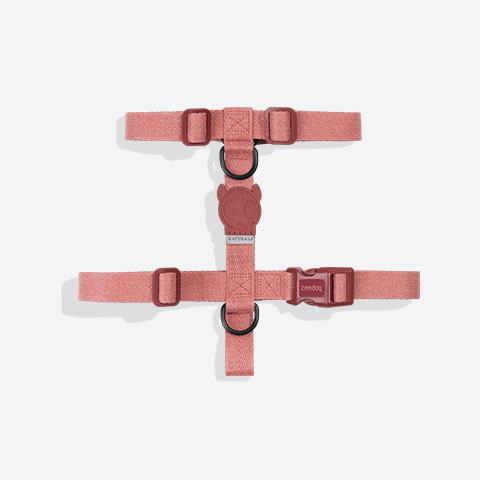 canyon-h-harness-active