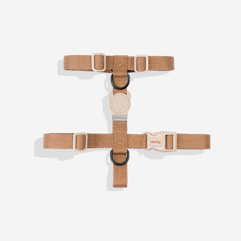 dune-h-harness-active