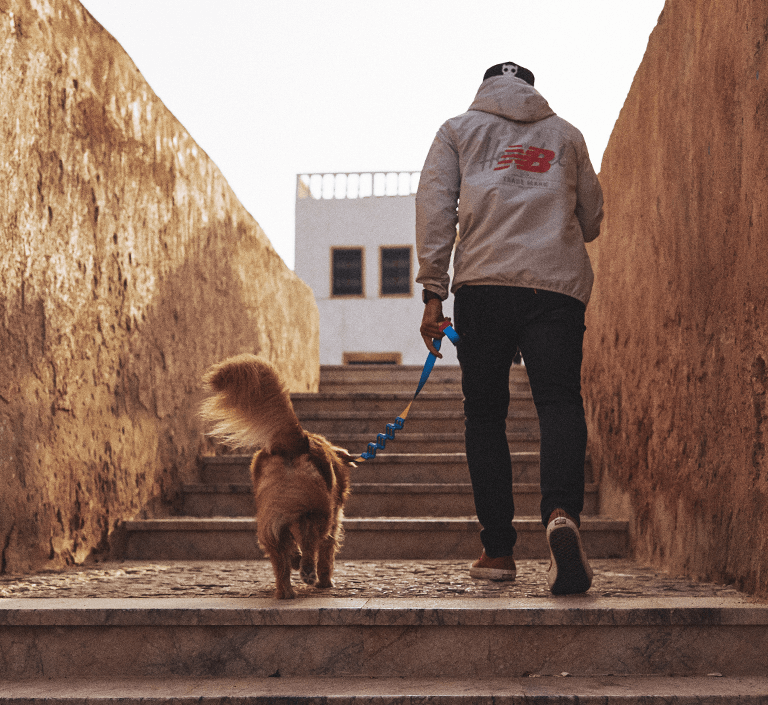 Peitoral para cachorros antipuxao Aziza