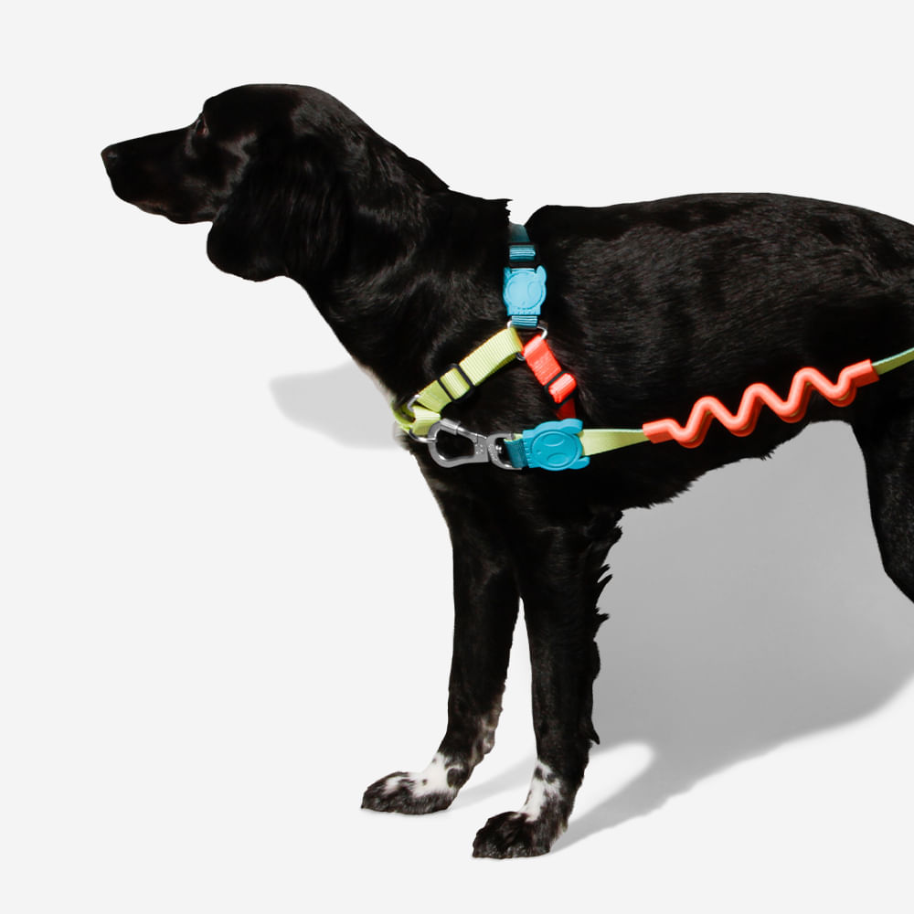 Peitoral para cachorros Antipuxão Jumper | Zee.Dog