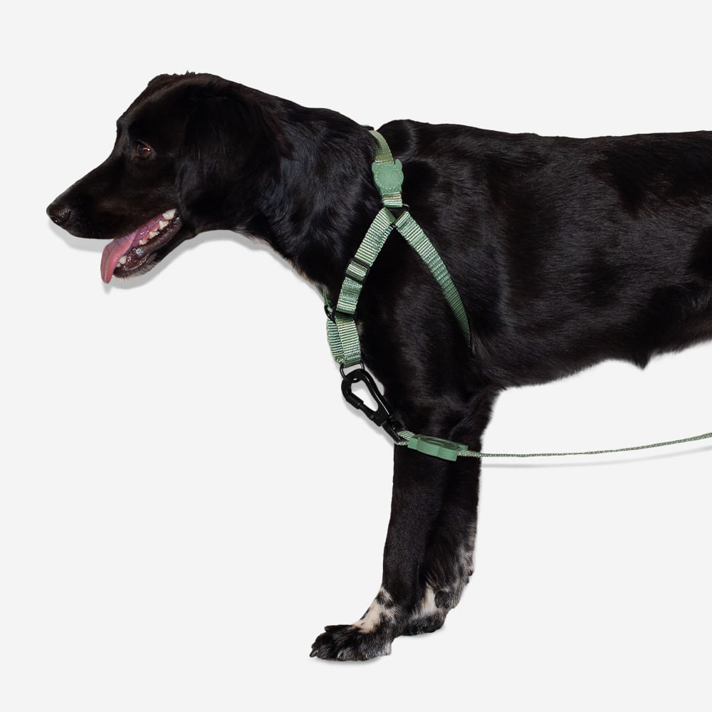 Peitoral para cachorros Antipuxão Army-green | Zee.Dog