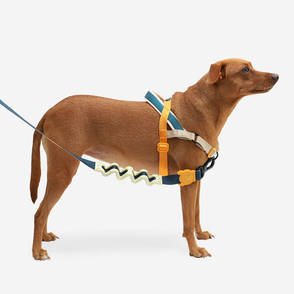 Peitoral Anitpuxão SofterWalk para cachorros Voyages | Zee.Dog
